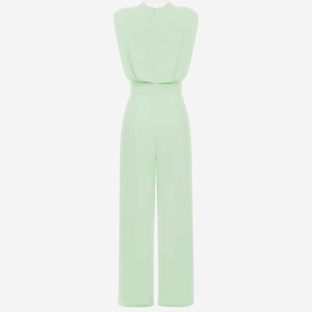 Ariia™ Tailored Cinched Jumpsuit
