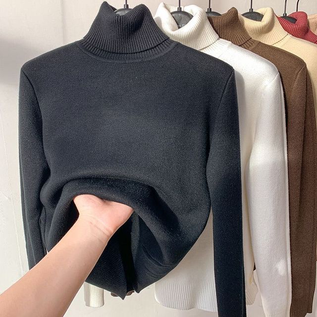 Leonie - Beige Turtleneck With Fleece Lining