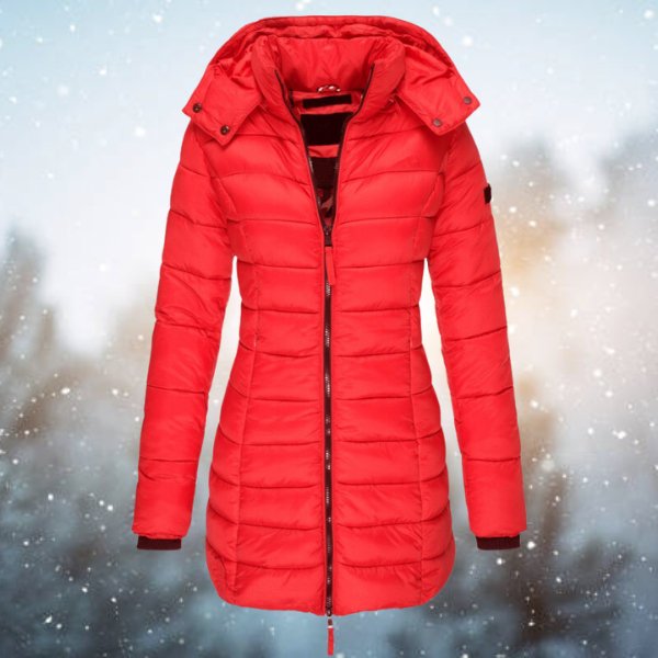 Pietro - Hooded Down Jacket